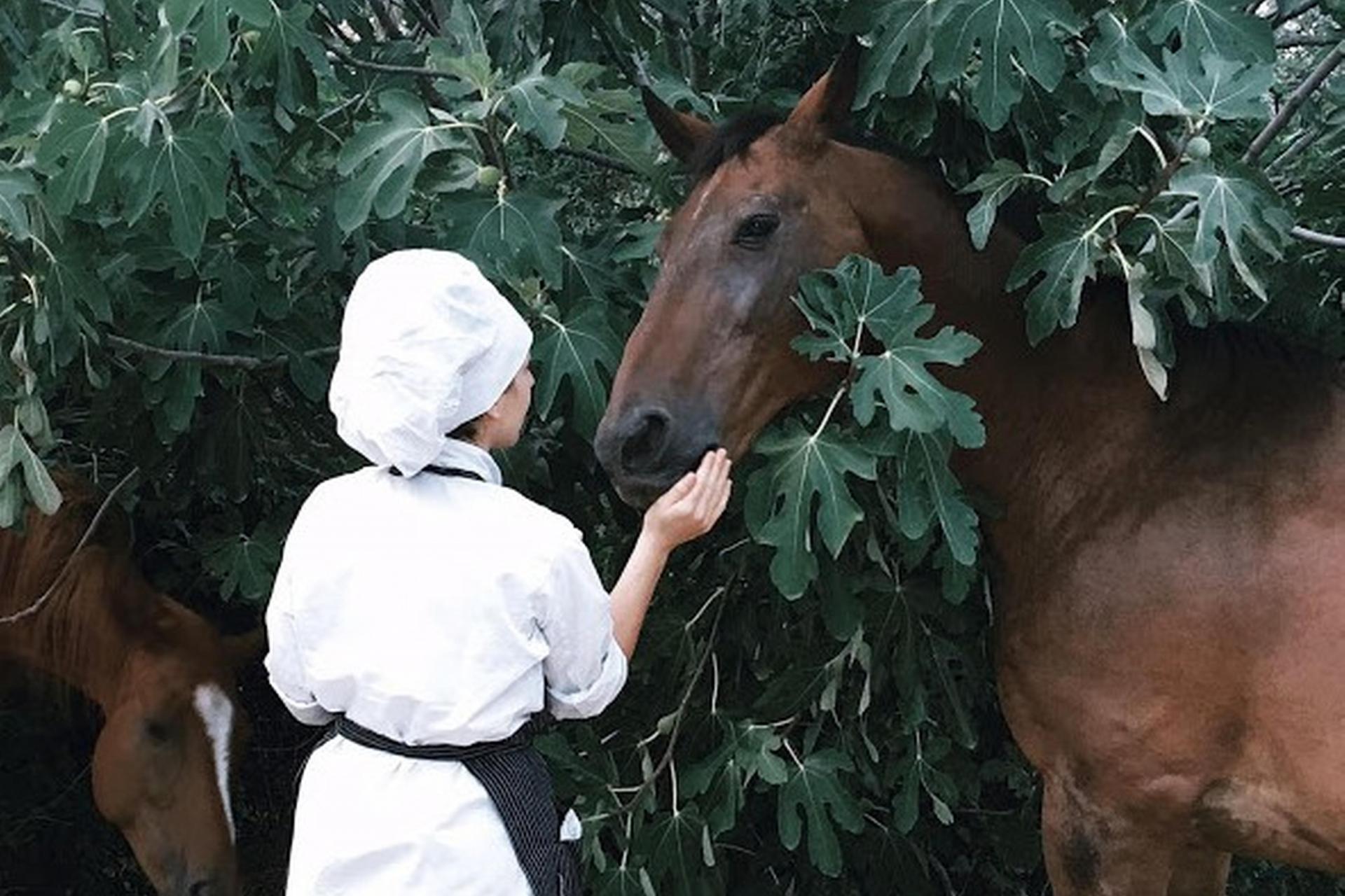 Biologische agriturismo met paarden