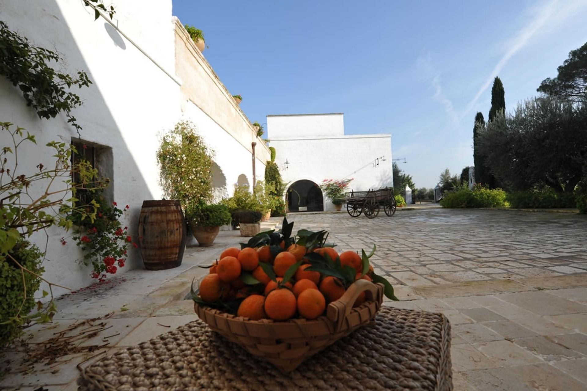 Agriturismo Puglia Authentic Agriturismo - Farmhouse with fantastic pool in Puglia