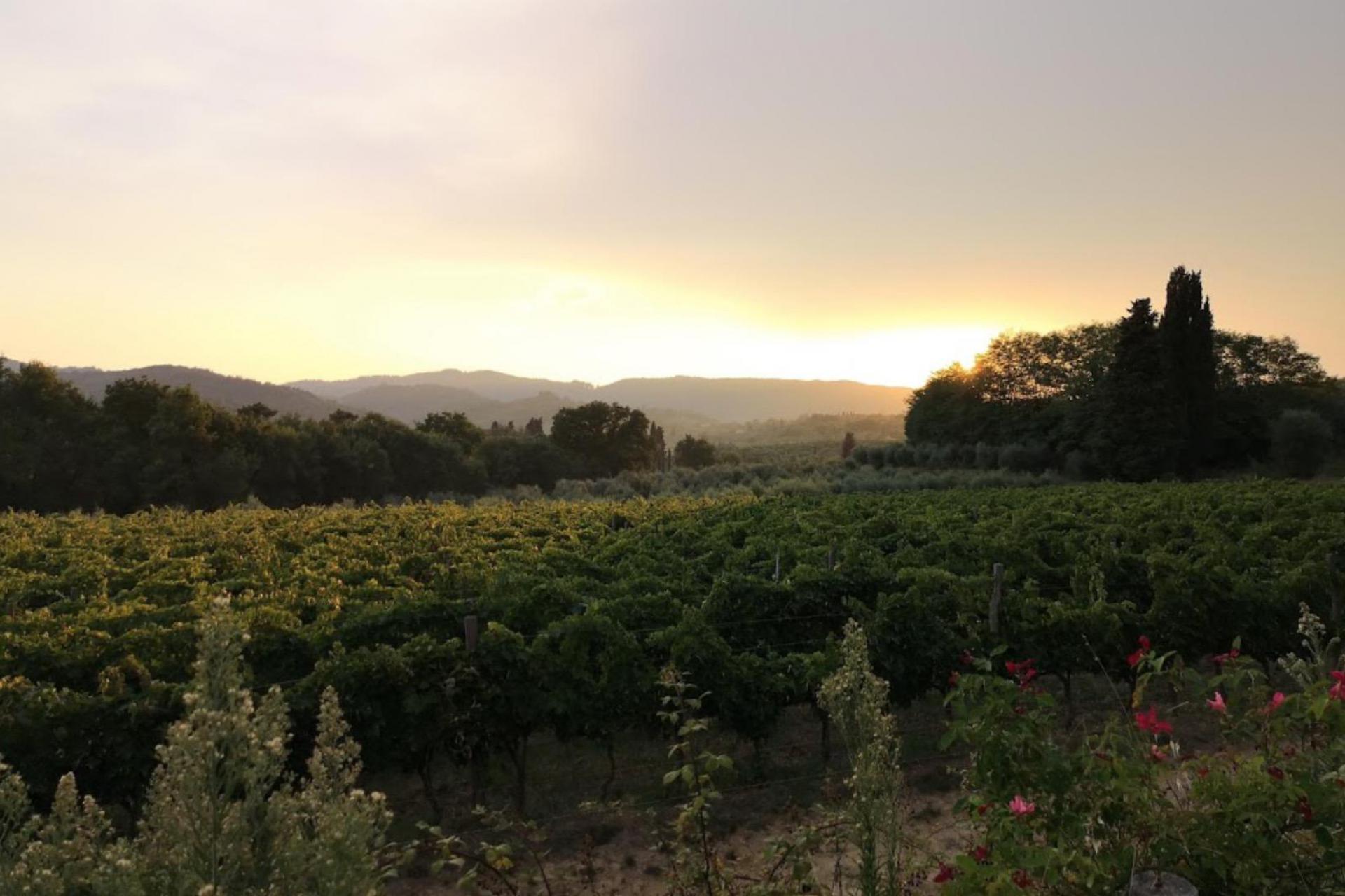 Agriturismo Tuscany Beautiful wine farm in the Chianti hills, Tuscany