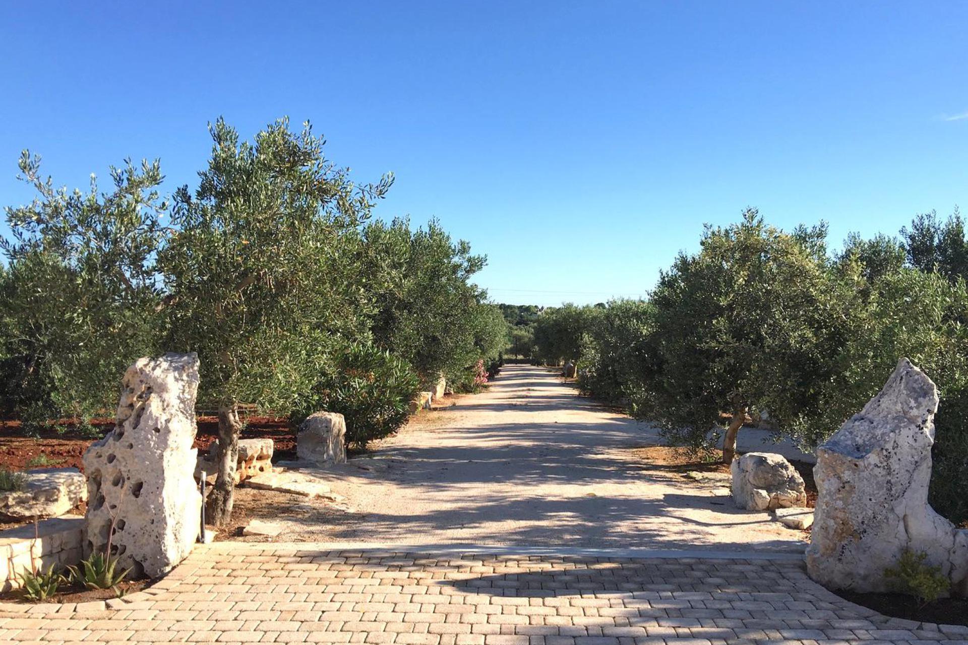 Agriturismo Puglia Private trullo with pool in olive orchard