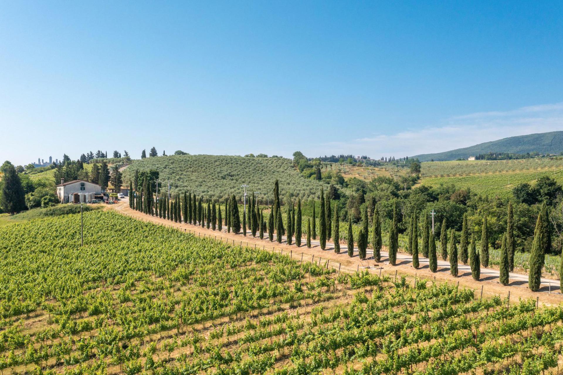 Elegante wijnboerderij vlakbij San Gimignano