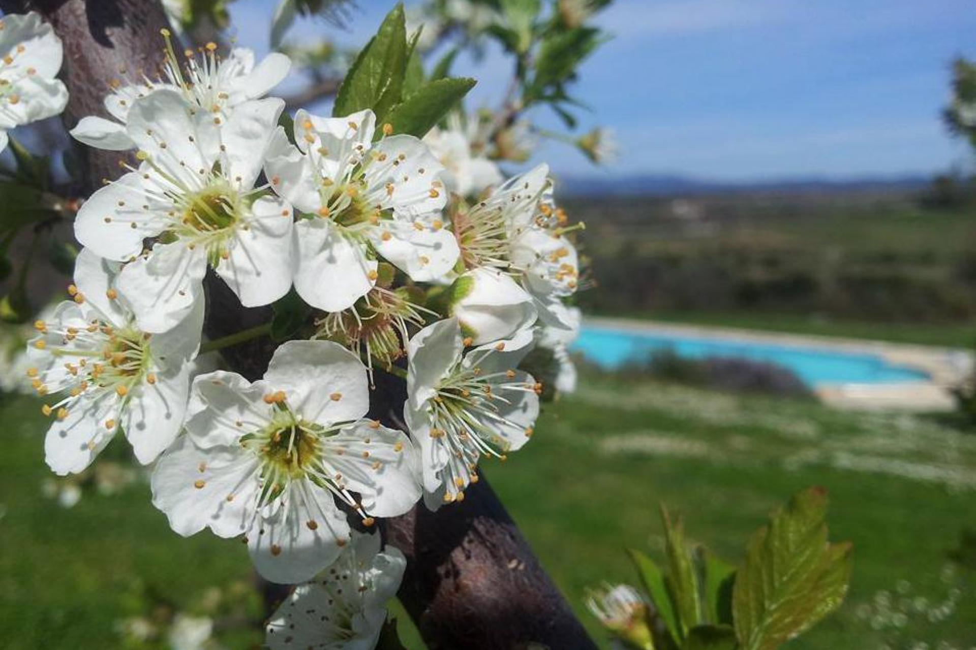 Agriturismo in de heuvels bij de Toscaanse kust