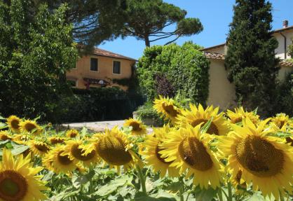Familie agriturismo met groot zwembad en peuterbadje