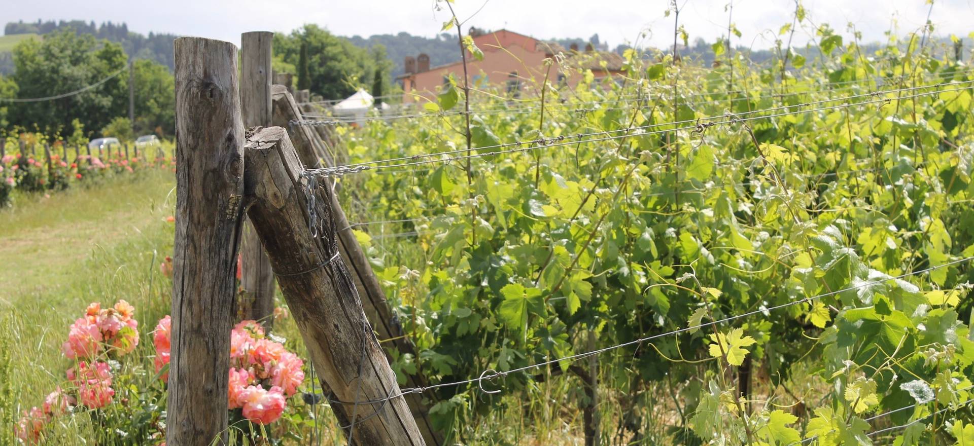 Agriturismo