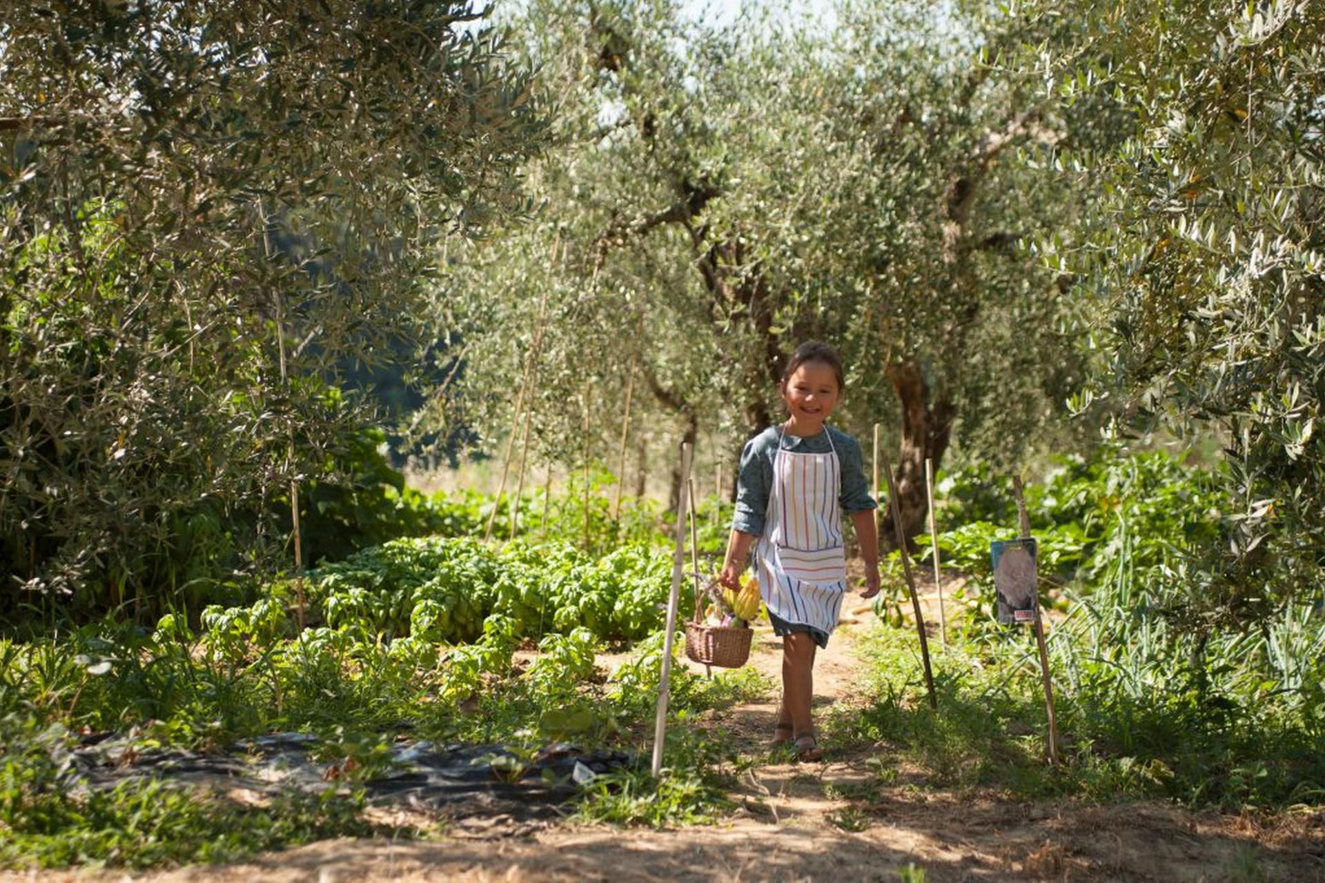 Luxury agriturismo near San Gimignano in Tuscany