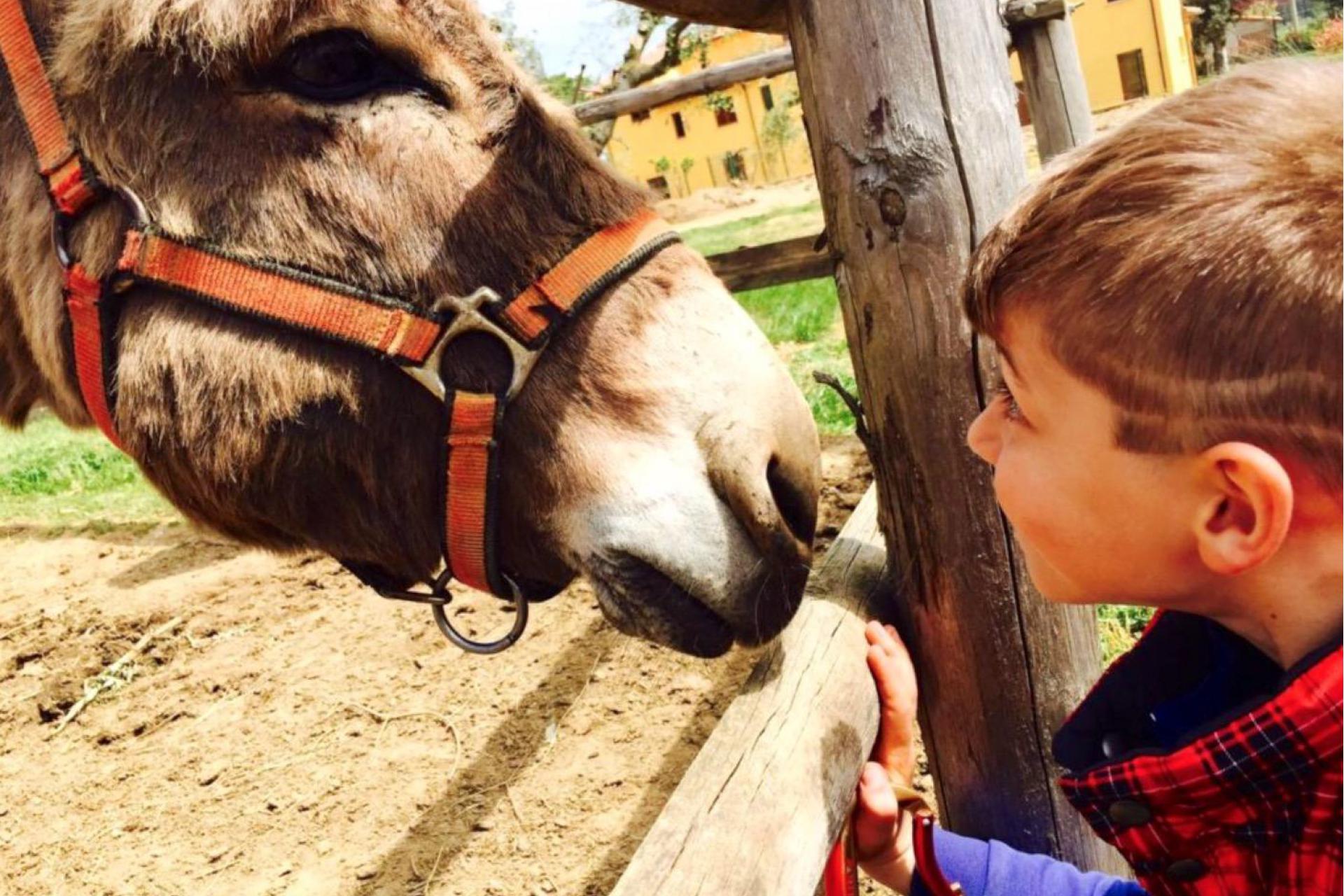 Agriturismo with riding school near the sea