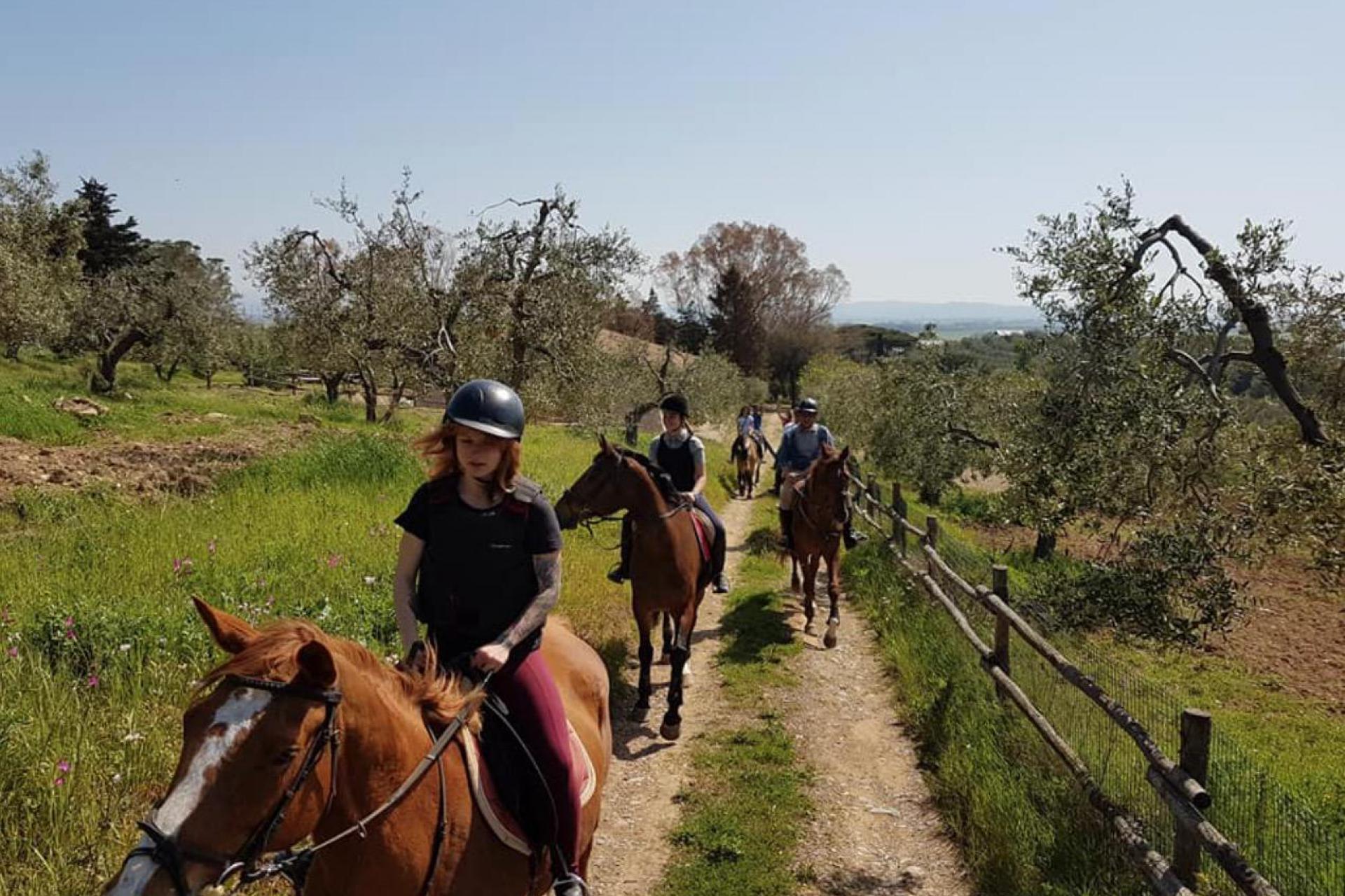 Modern agriturismo 2 km from the sea