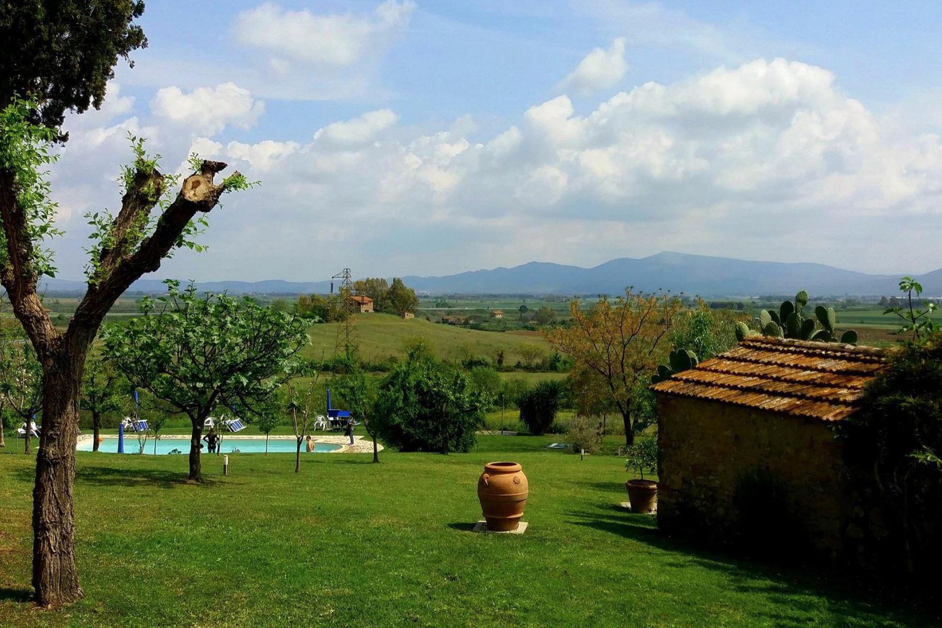 Quiet olive agriturismo near the sea in Tuscany