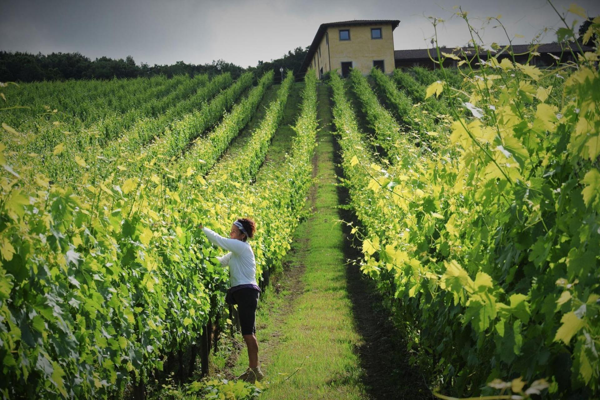 B&B with breakfast and dinner in the south of Siena