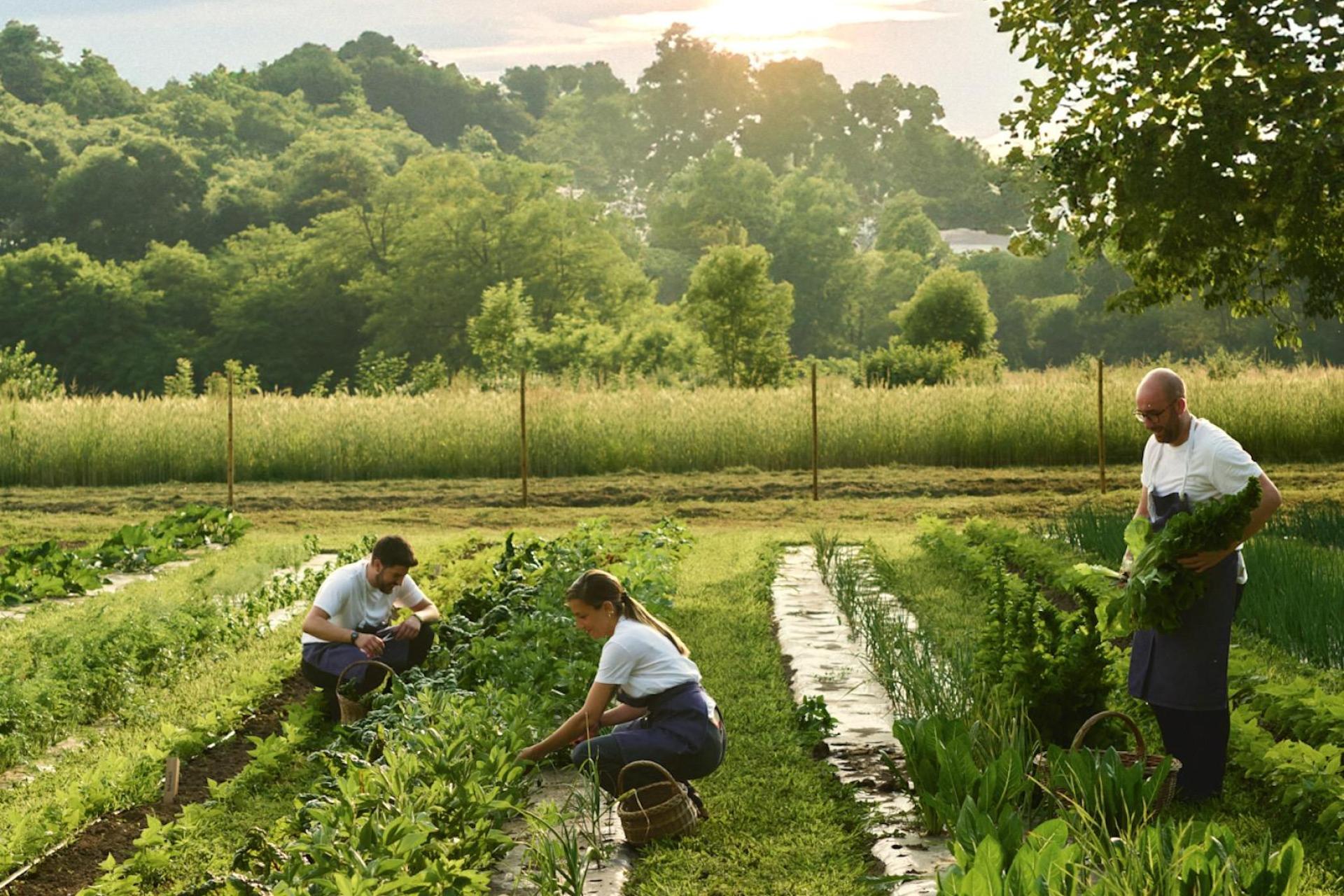 Small boutique hotel in nature near Lake Maggiore Small boutique hotel in nature near Lake Maggiore