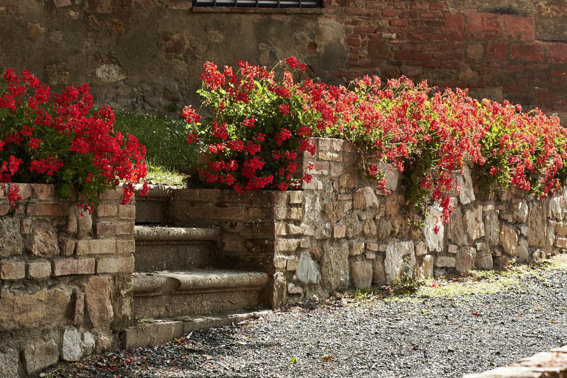 Characteristic agriturismo in the heart of Tuscany