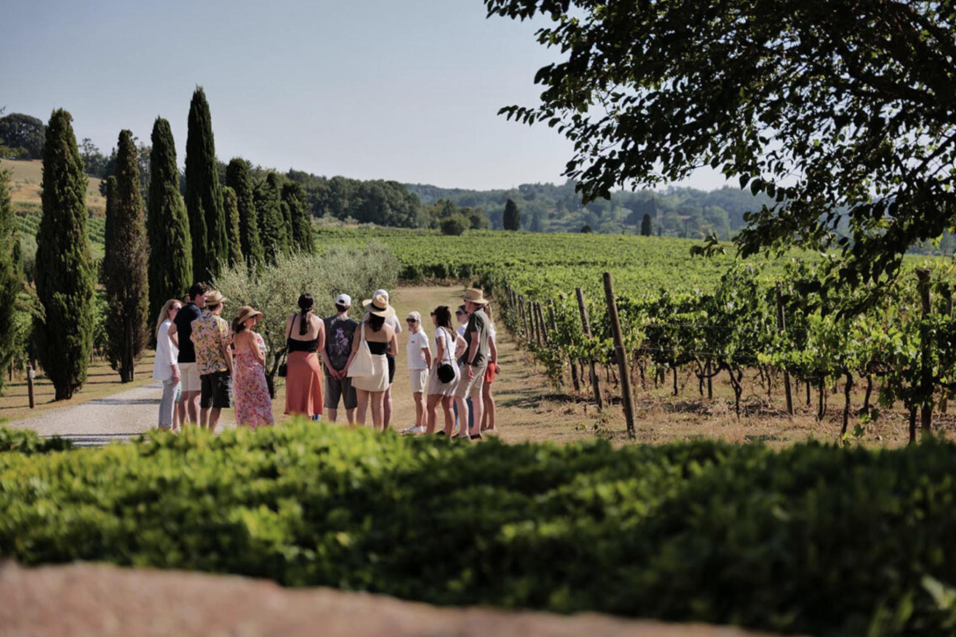 Luxury wine farm near Pisa and the coast