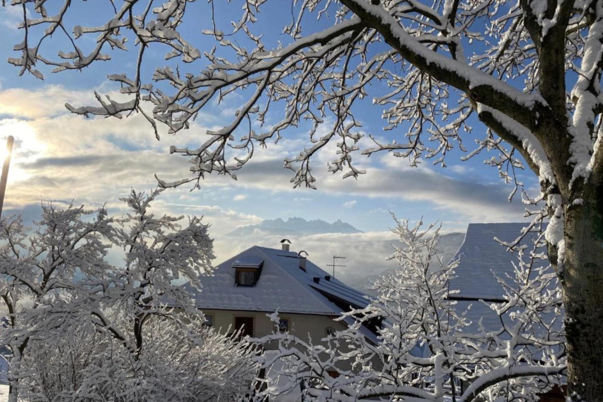 Luxe agriturismo met B&B kamers en Sudtiroler gastvrijheid