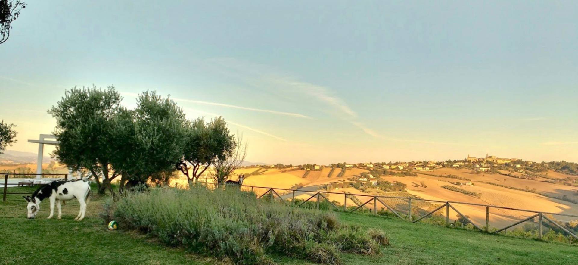 Agriturismo le marche, mooie kamers en gastvrij
