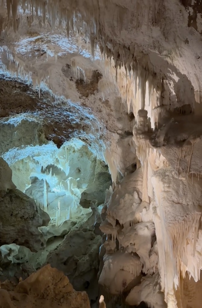 Margots tip Margots tip