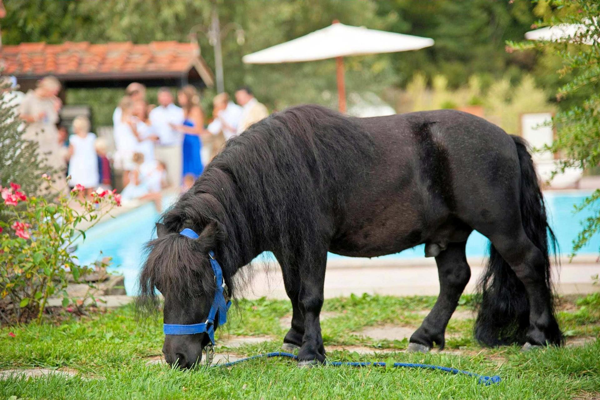 Kindvriendelijke agriturismo in Oost Toscane