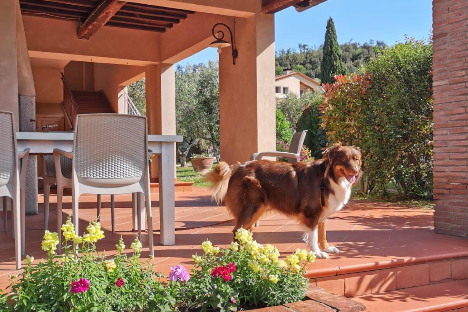 Kleine en luxe agriturismo bij Volterra in Toscane