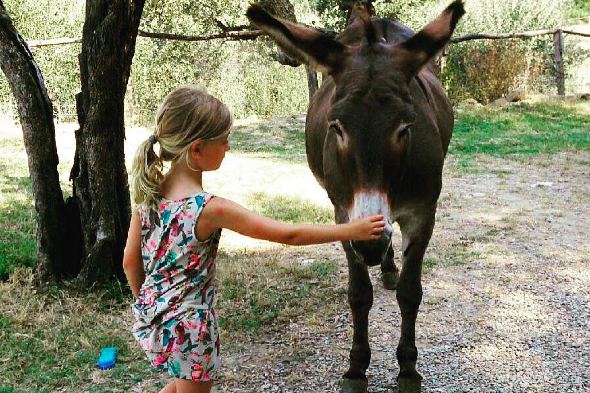 Kindvriendelijke agriturismo met boerderijdieren