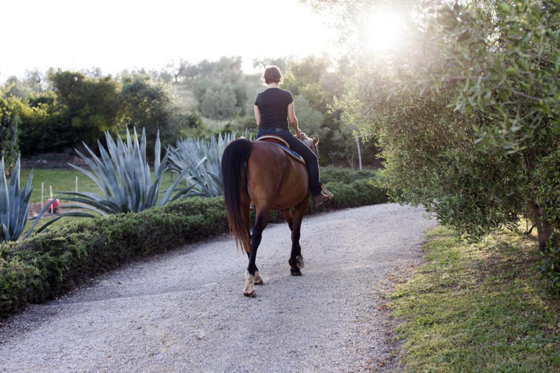 Authentieke olijfolie agriturismo met leuke manege