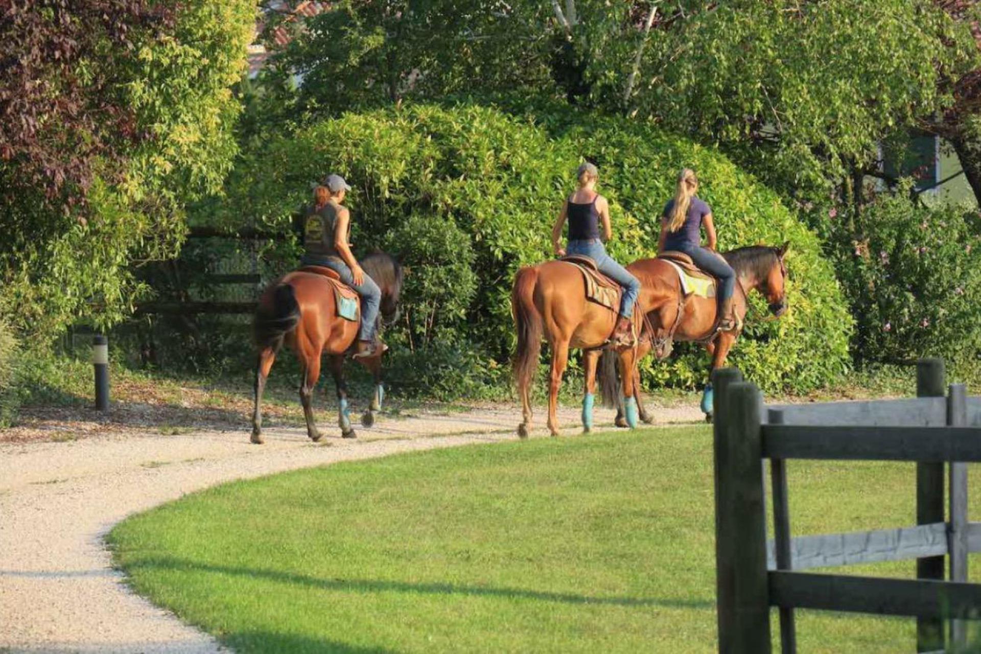 Op vakantie met eigen paard