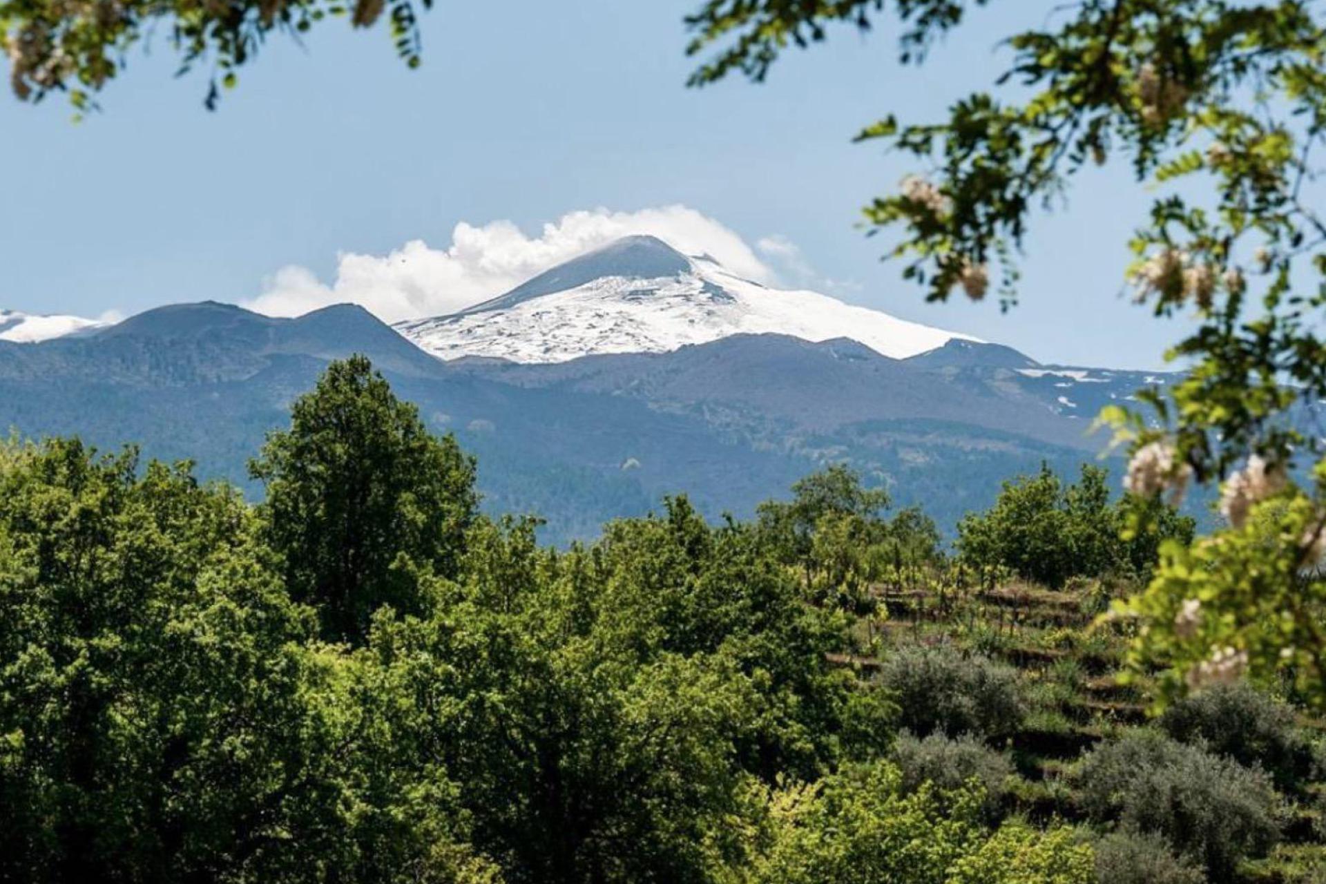 Agriturismo bij de Etna voor wijnliefhebbers