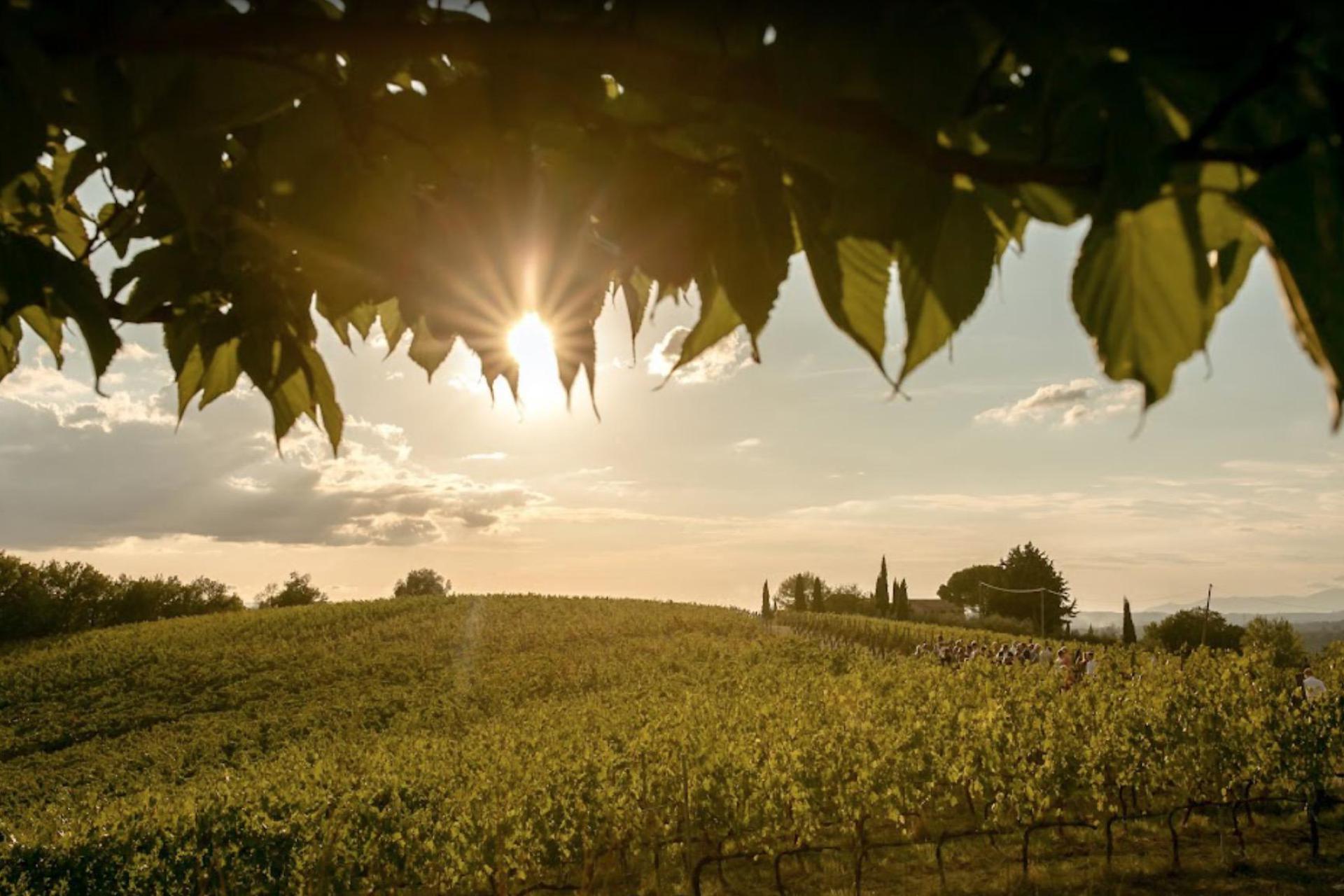 Authentieke wijnboerderij in het Chiantigebied