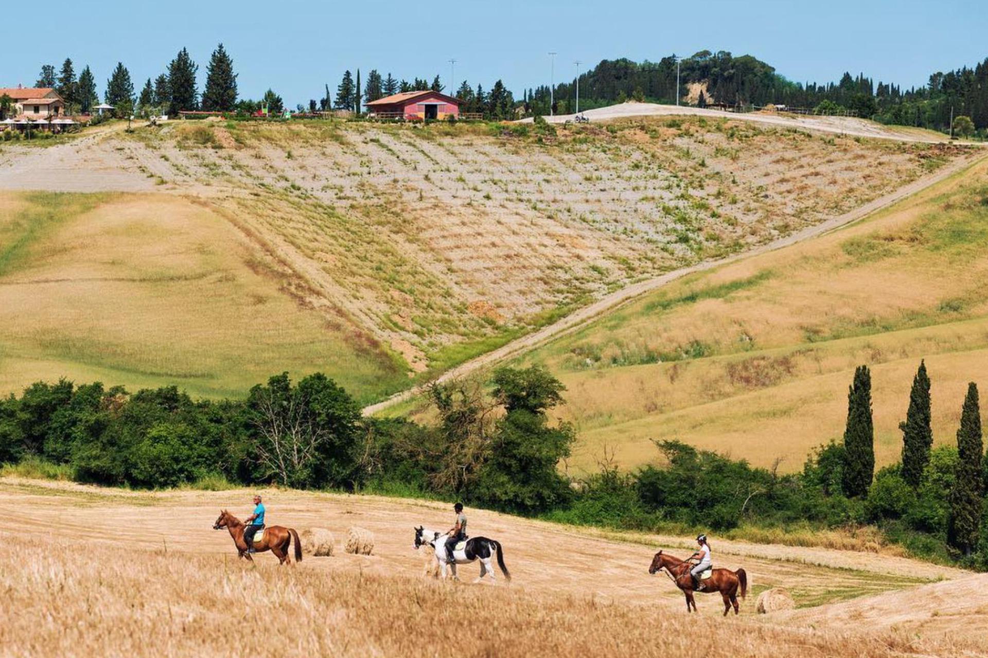Agriturismo Toscane, zeer gezellig en super gastvrij!