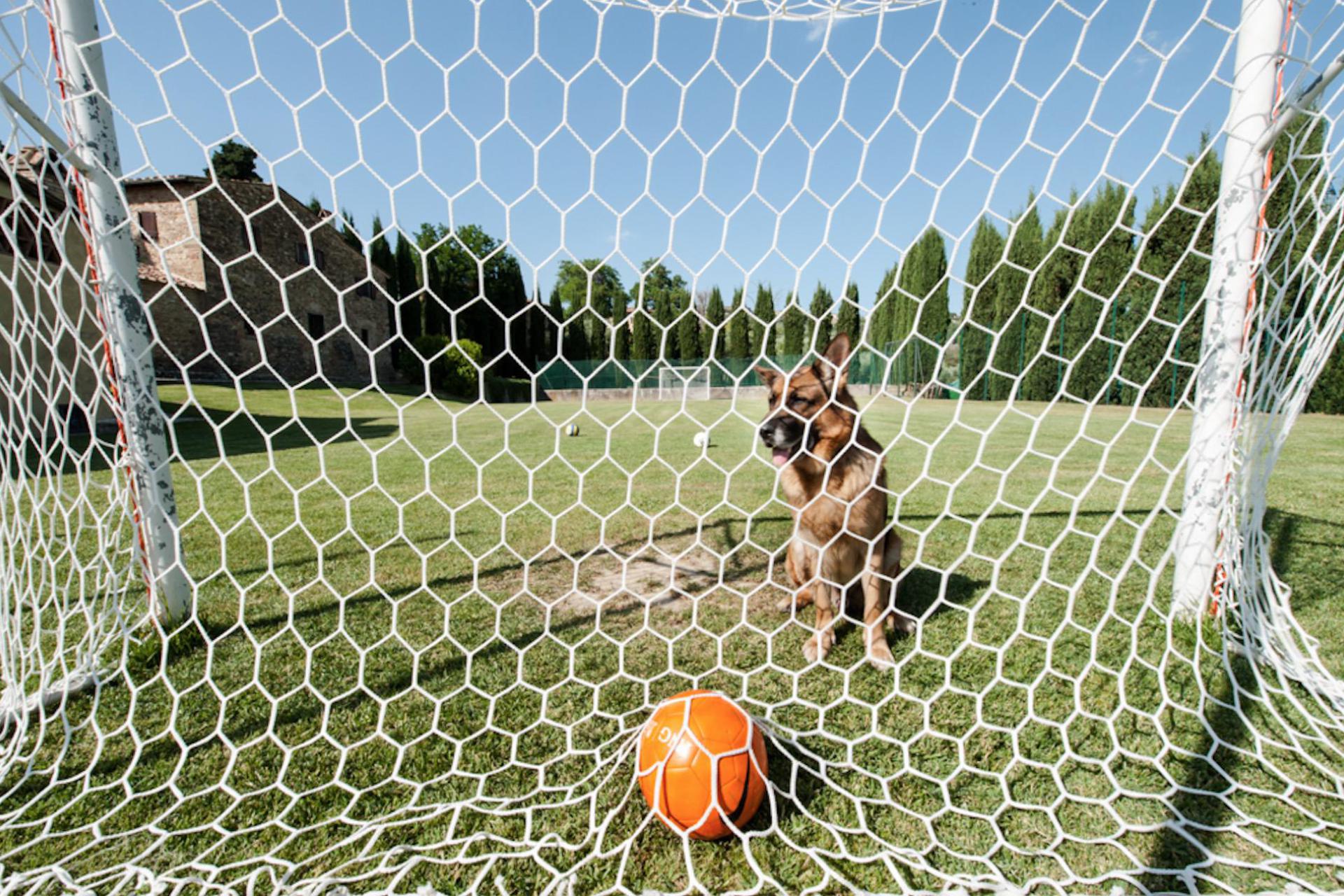 Agriturismo op een wijngaard met veel sportfaciliteiten in Toscane