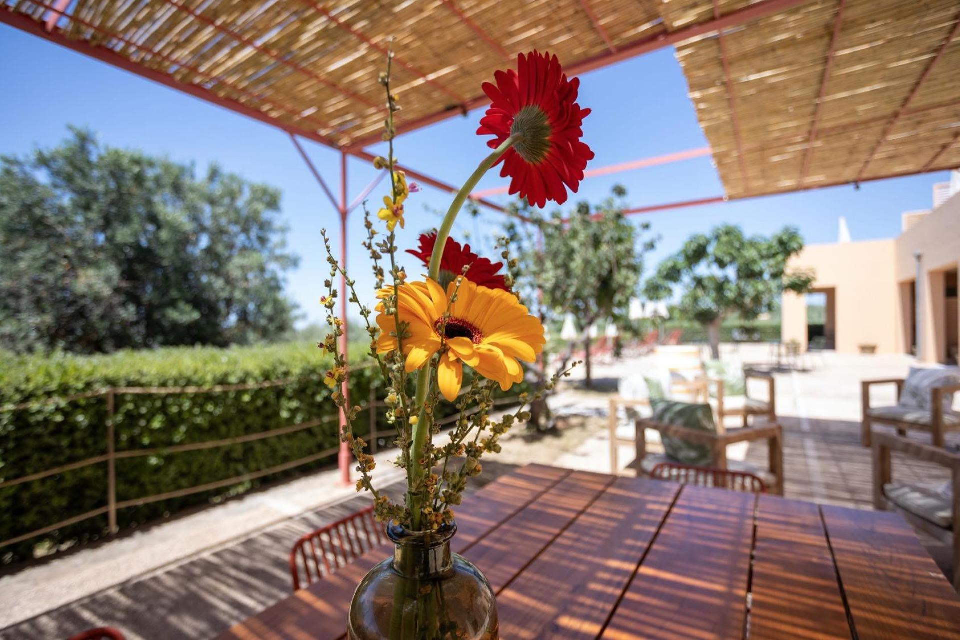 Gemoedelijke agriturismo met restaurant op Sicilië, vlakbij zee