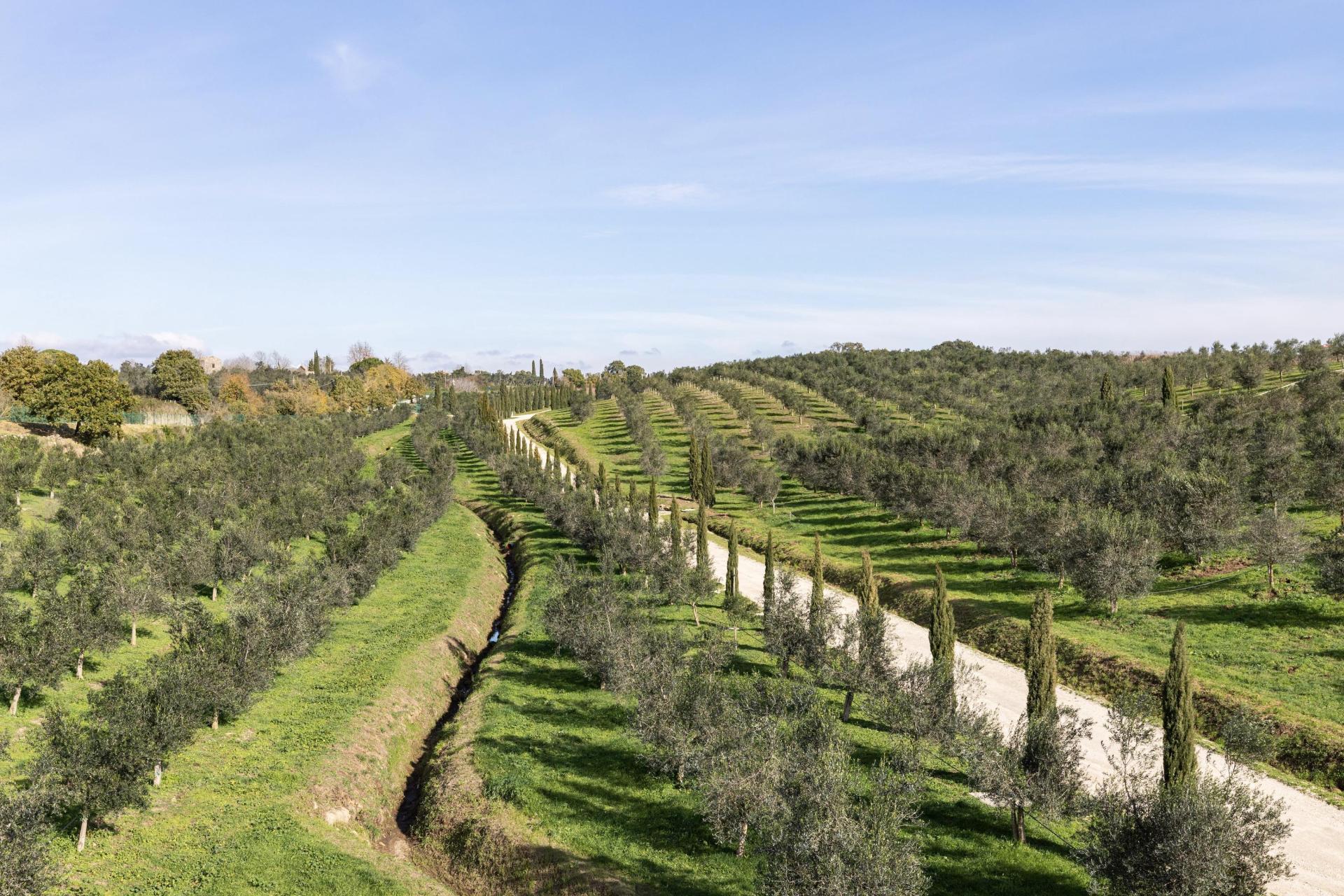 Sfeervolle agriturismo tussen Toscane en Lazio met restaurant en spa