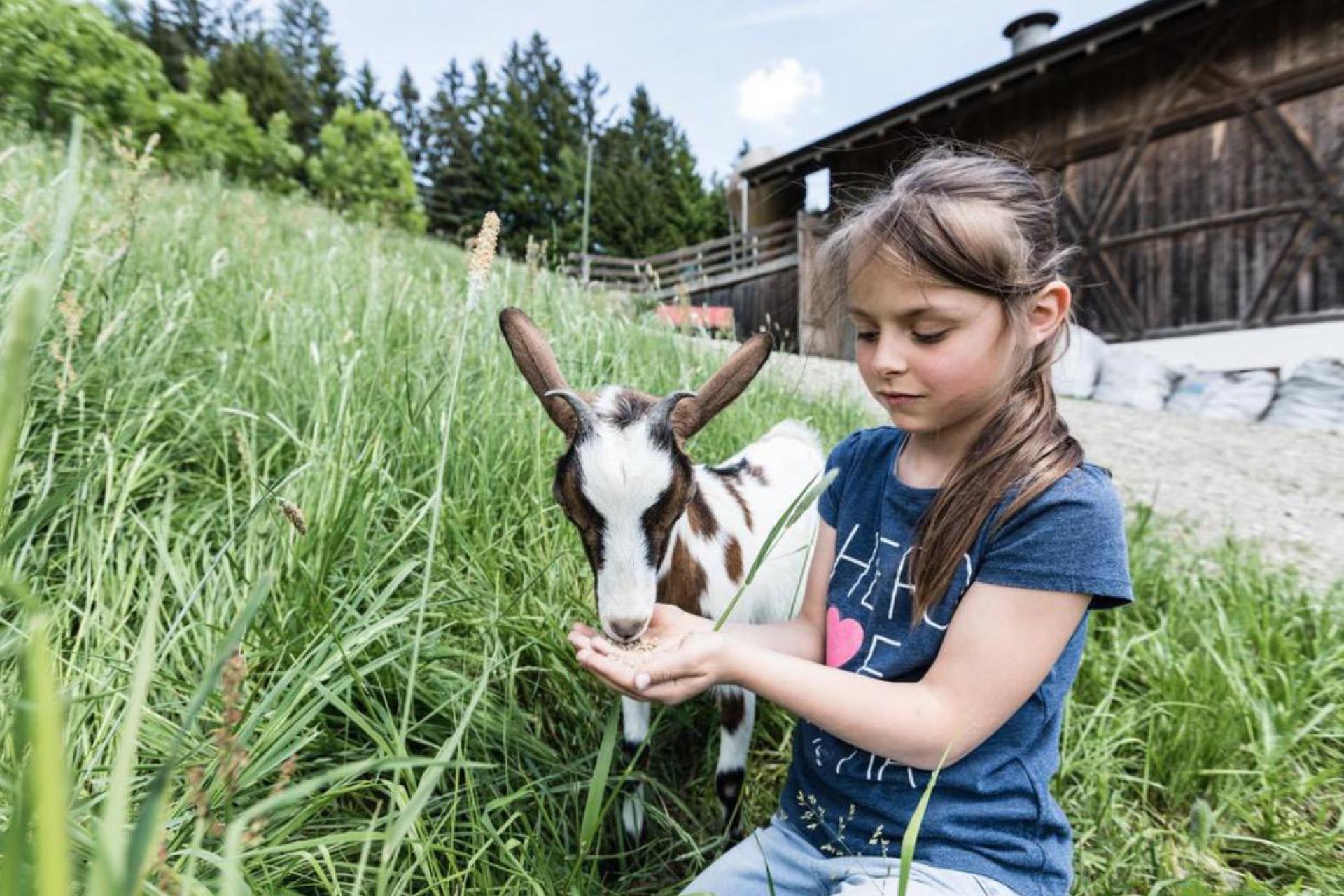 Actieve agriturismo met boerderijdieren in Trentino