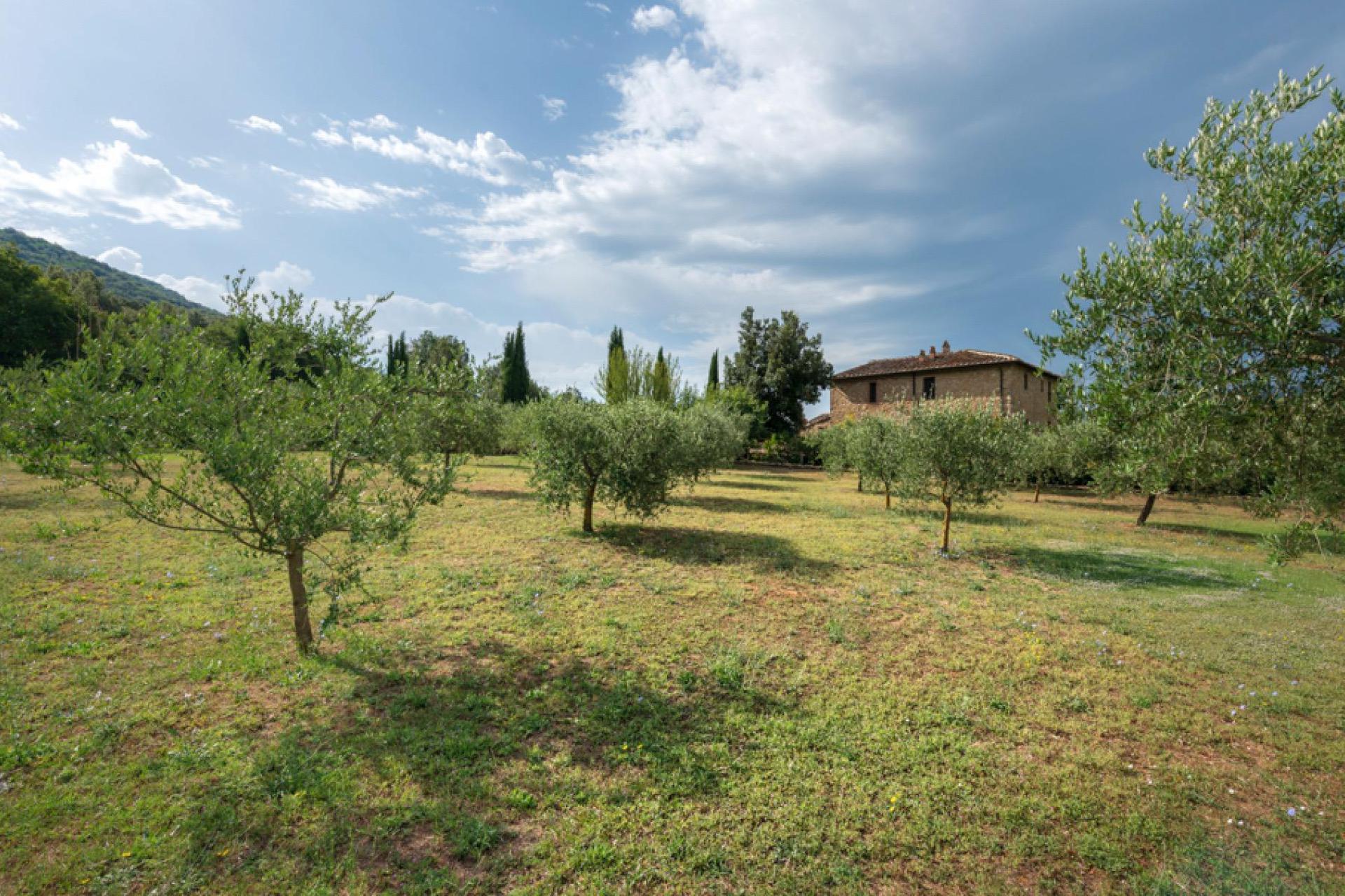 Agriturismo voor liefhebbers van natuur en cultuur in Toscane