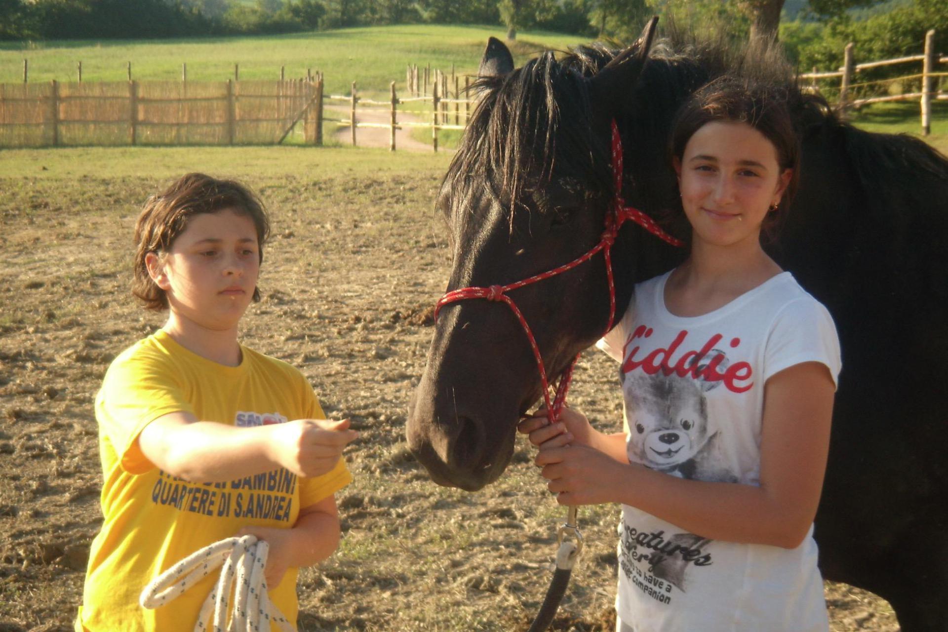 Rustige agriturismo met paarden in Le Marche