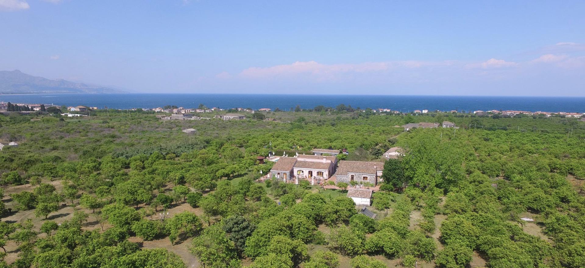 Agriturismo Sicily Agriturismo among citrus trees in Sicily