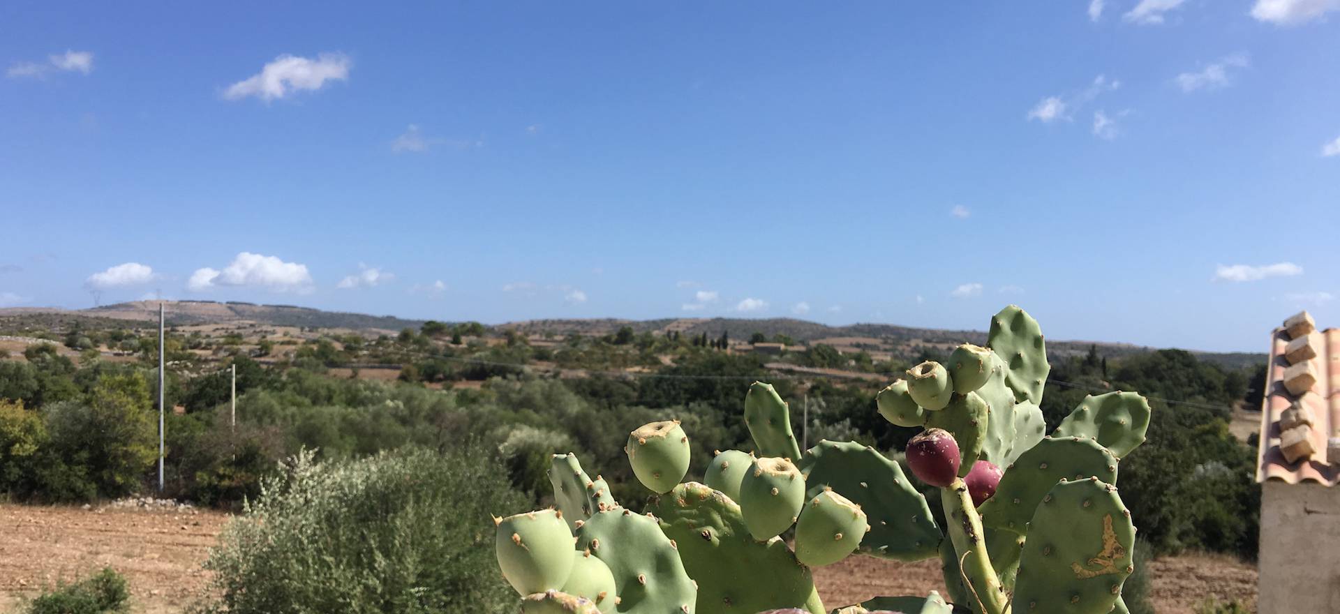 Agriturismo Sicily Agriturismo in the Sicilian countryside