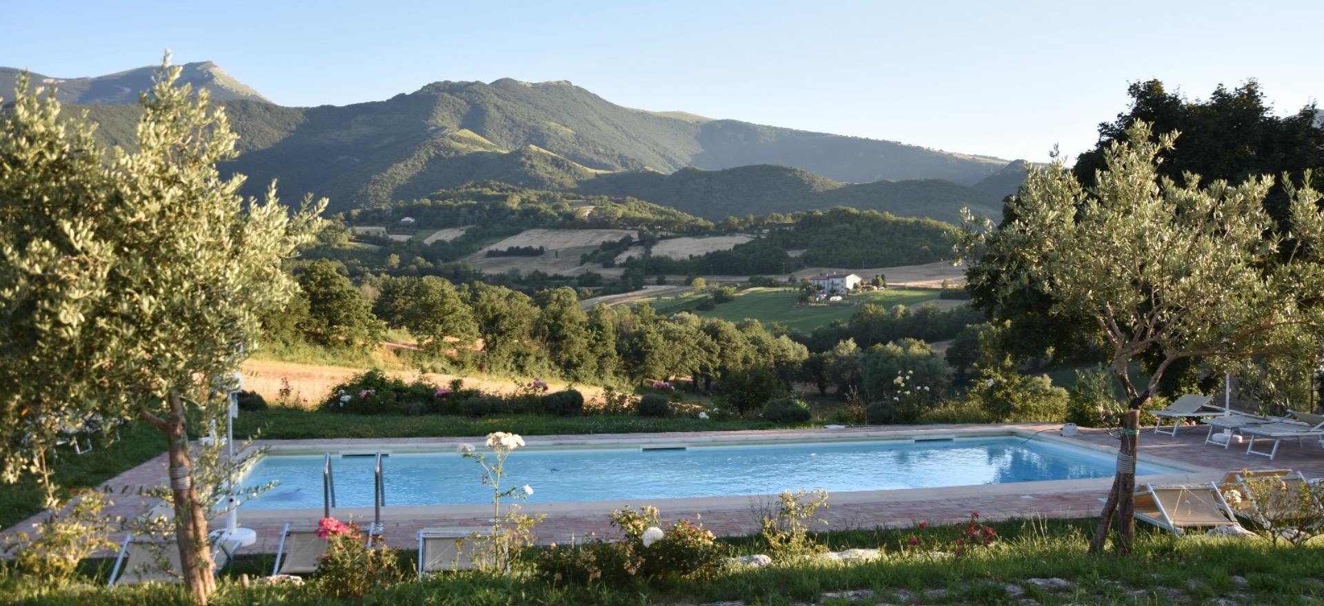 Agriturismo Marche Agriturismo Marche, cozy atmosphere and kid friendly