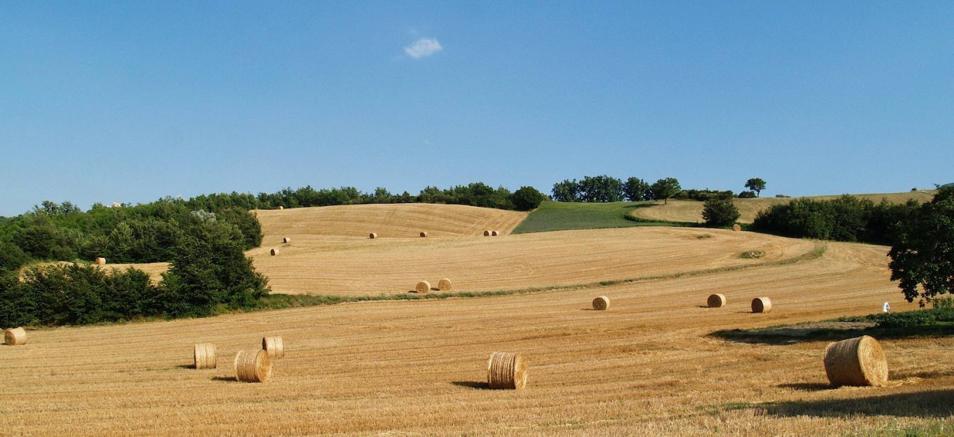 Agriturismo Marche Agriturismo Marche, cozy atmosphere and kid friendly