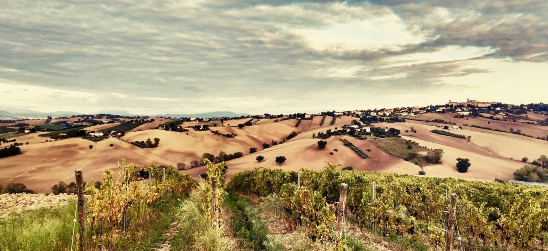 Agriturismo Marche Agriturismo Marche, beautiful rooms, apartments and welcoming