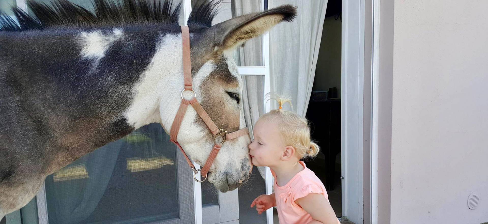 Agriturismo Marche Agriturismo Marche, beautiful rooms, apartments and welcoming