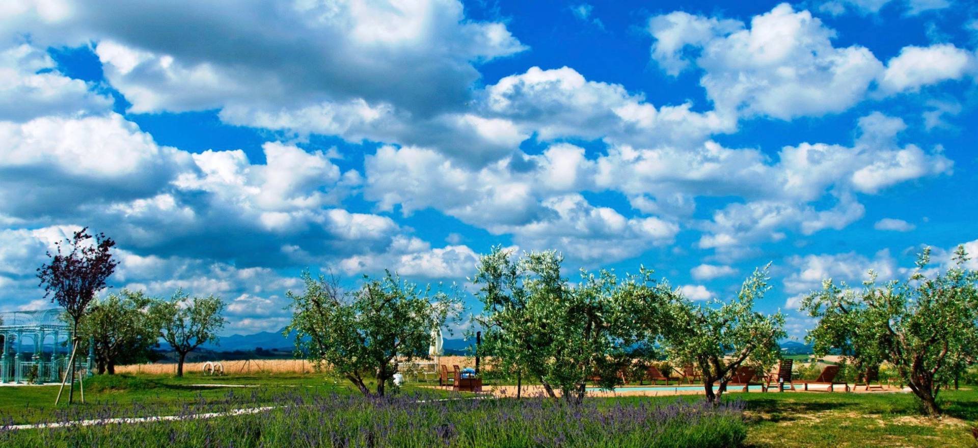 Agriturismo Marche Agriturismo Marche, beautiful rooms, apartments and welcoming