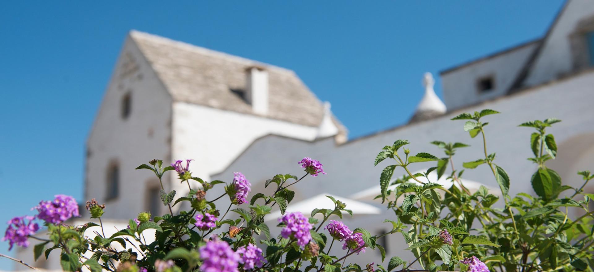 Agriturismo Puglia Agriturismo Puglia, suites in trullo with a view