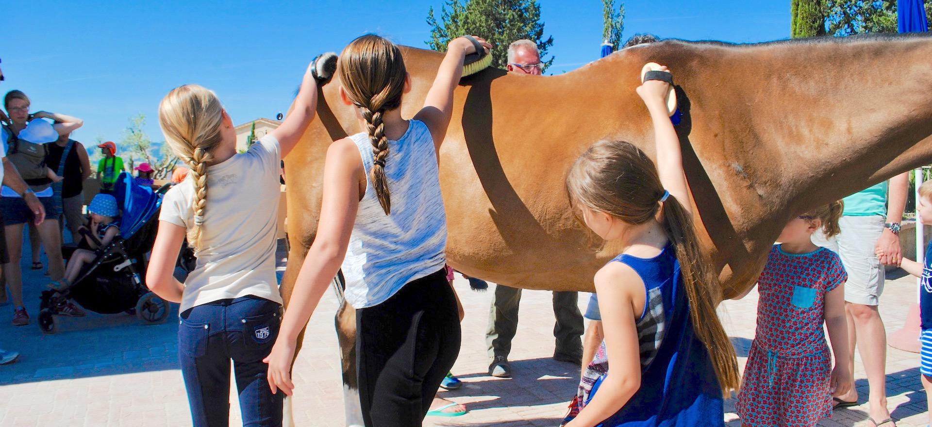 Agriturismo Tuscany Agriturismo Tuscany, kid friendly and super welcoming!