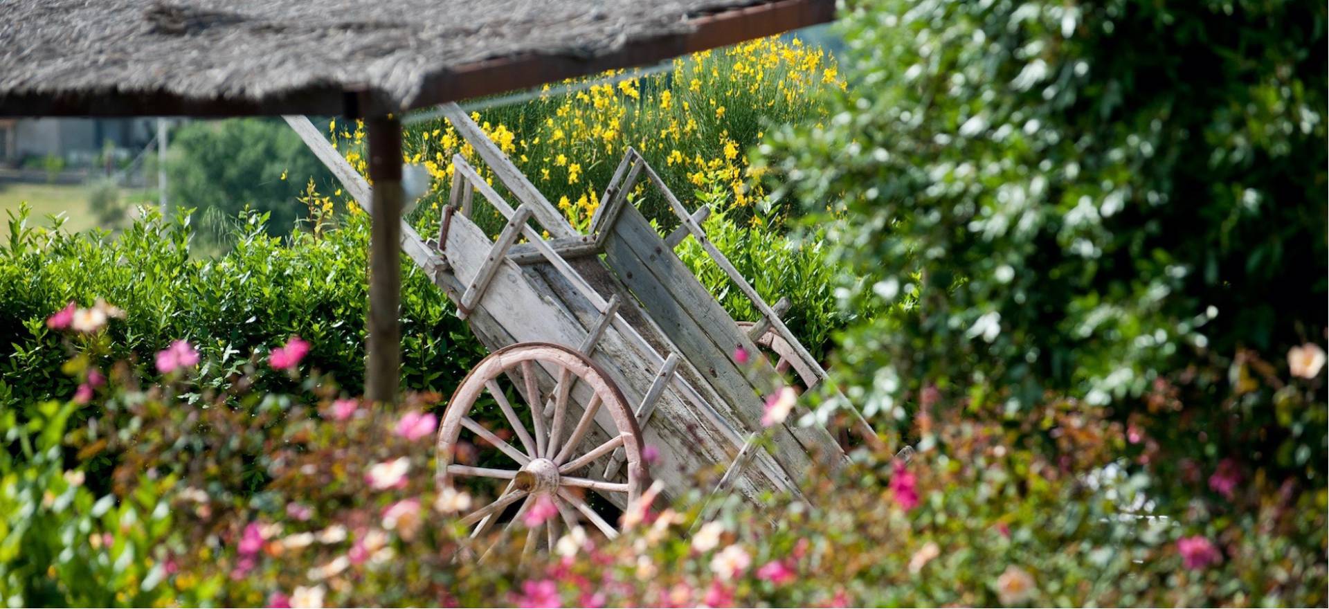 Agriturismo Tuscany Agriturismo Tuscany, very attractive and hospitable