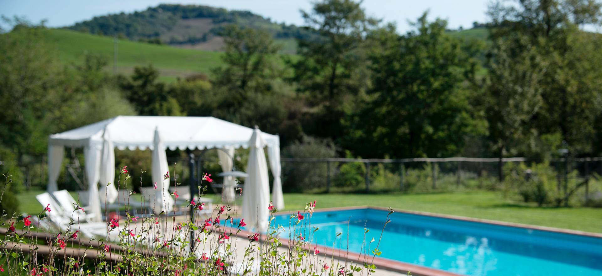 Agriturismo Tuscany Agriturismo Tuscany with tastefully decorated apartments