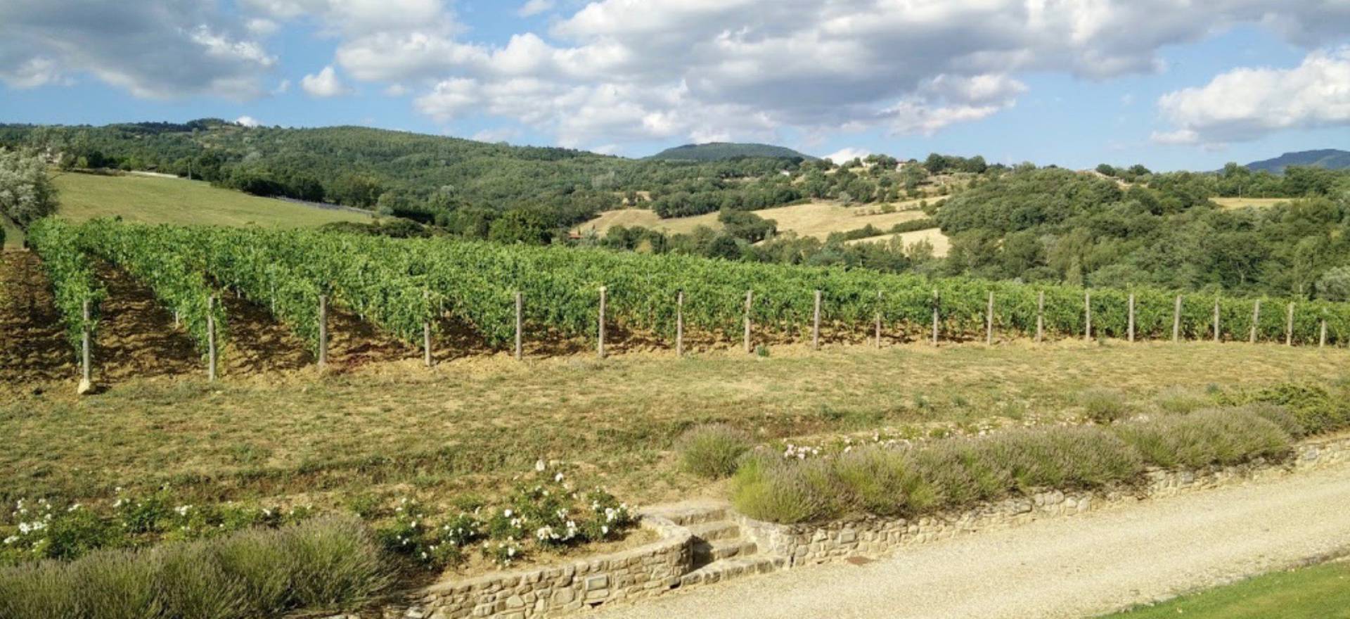 Agriturismo Tuscany Beautiful Agriturismo - Farmhouse in Tuscany with amazing view!