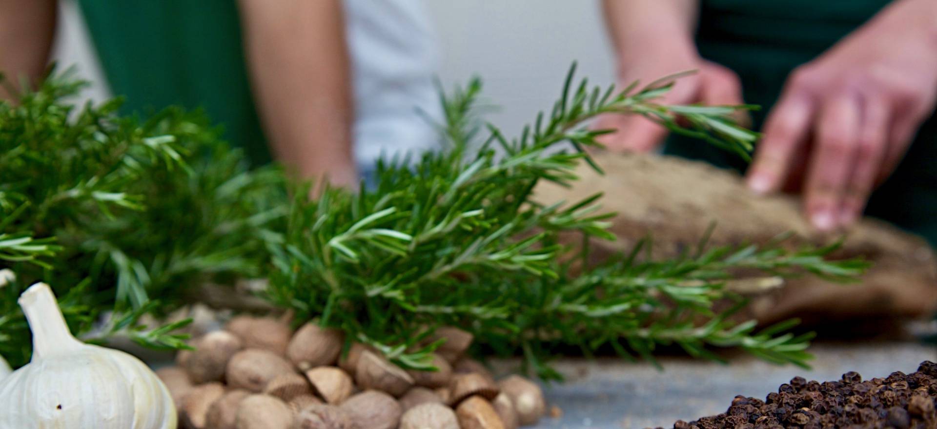 Agriturismo Tuscany Child-friendly agriturismo in Tuscany with restaurant