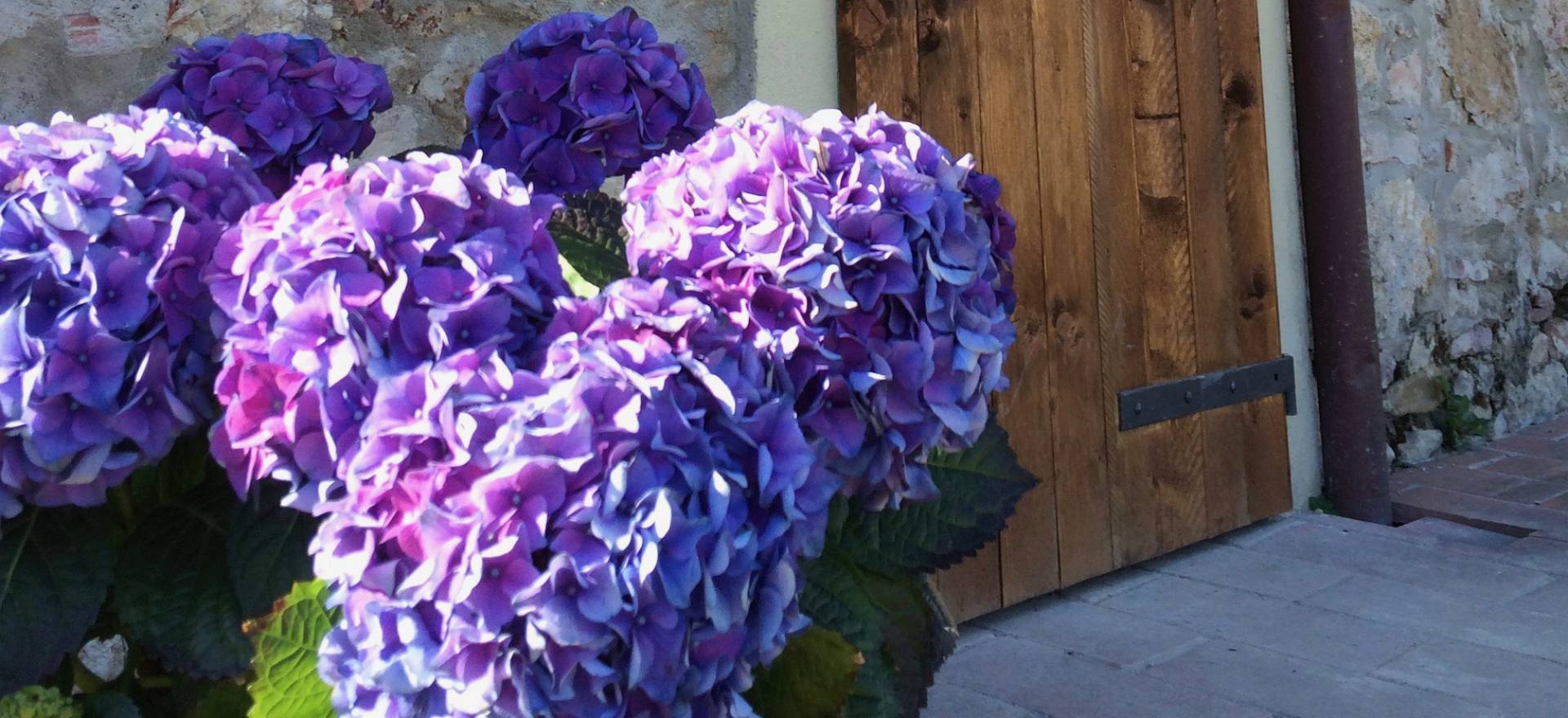 Agriturismo Tuscany Child-friendly agriturismo in Tuscany with restaurant