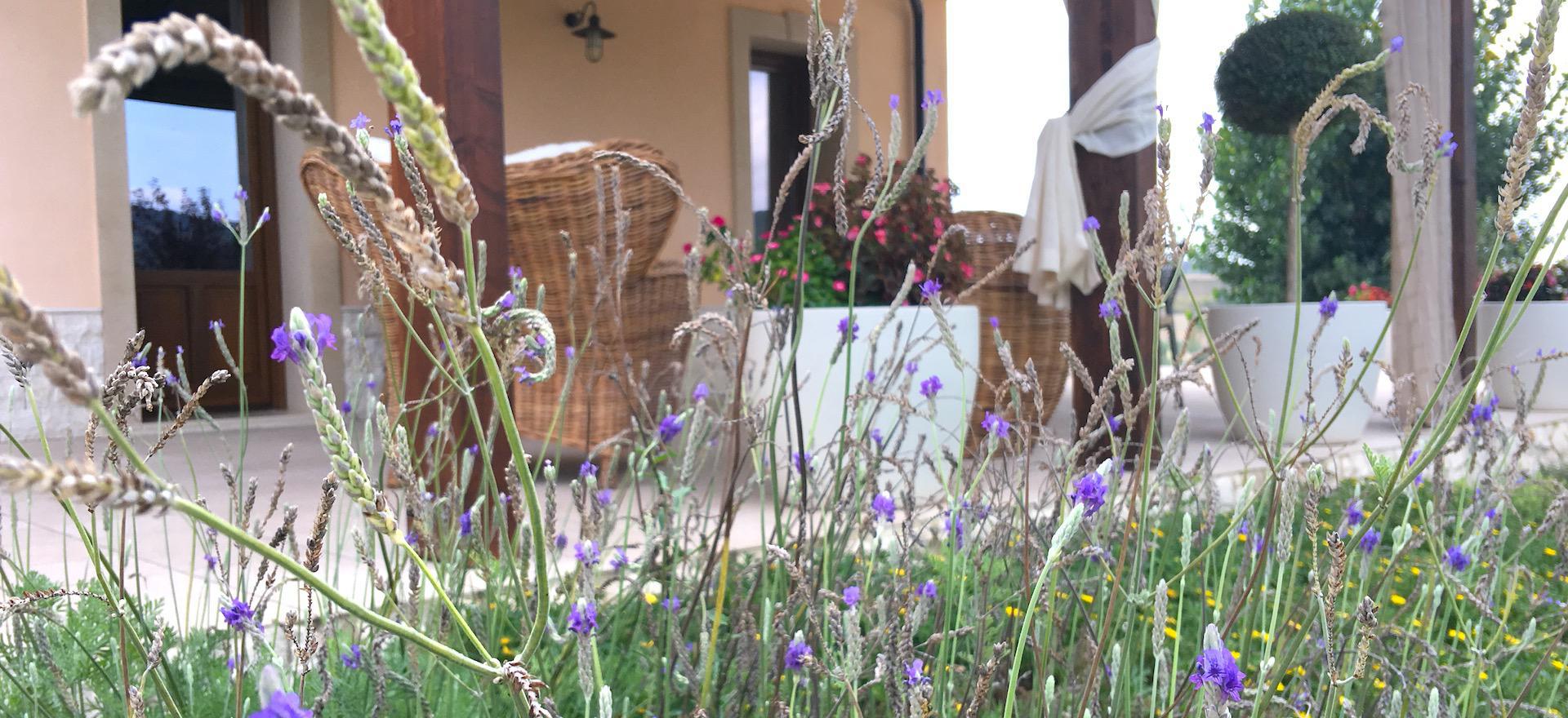 Agriturismo Sicily Child friendly agriturismo Sicily with beautiful pool