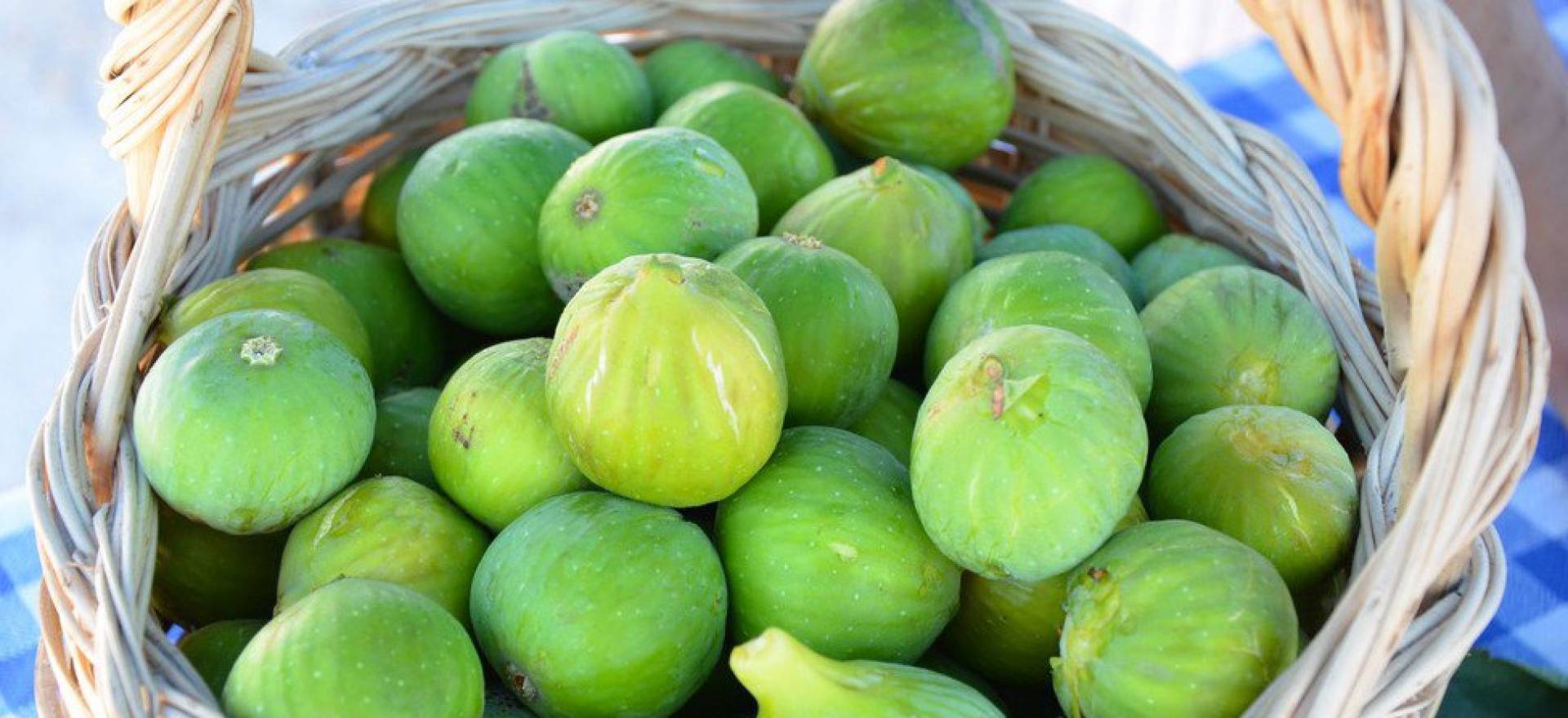 Agriturismo Lake Como and Lake Garda Cozy agriturismo with amazing view of lake Como