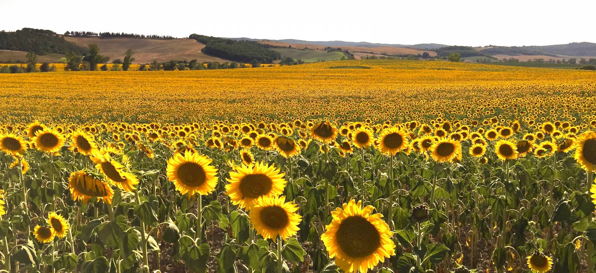 Agriturismo Lake Como and Lake Garda Cozy agriturismo with amazing view of lake Como